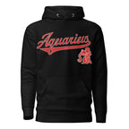 Aquarius zodiac sports graphic hoodie, black with red ink, unisex athletic astrology apparel, front flat lay